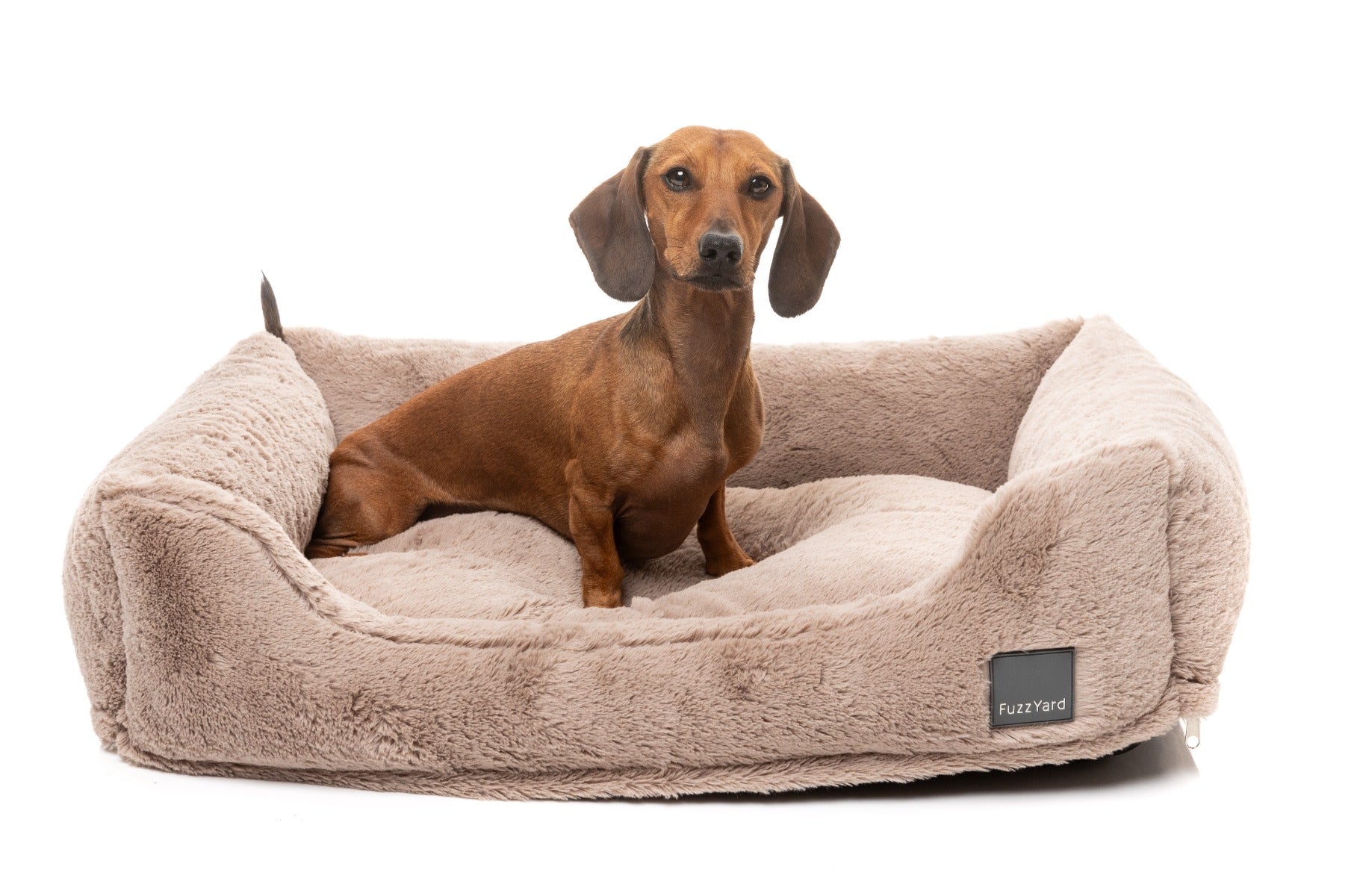 Dreameazzzy Lounger - Chai by FuzzYard