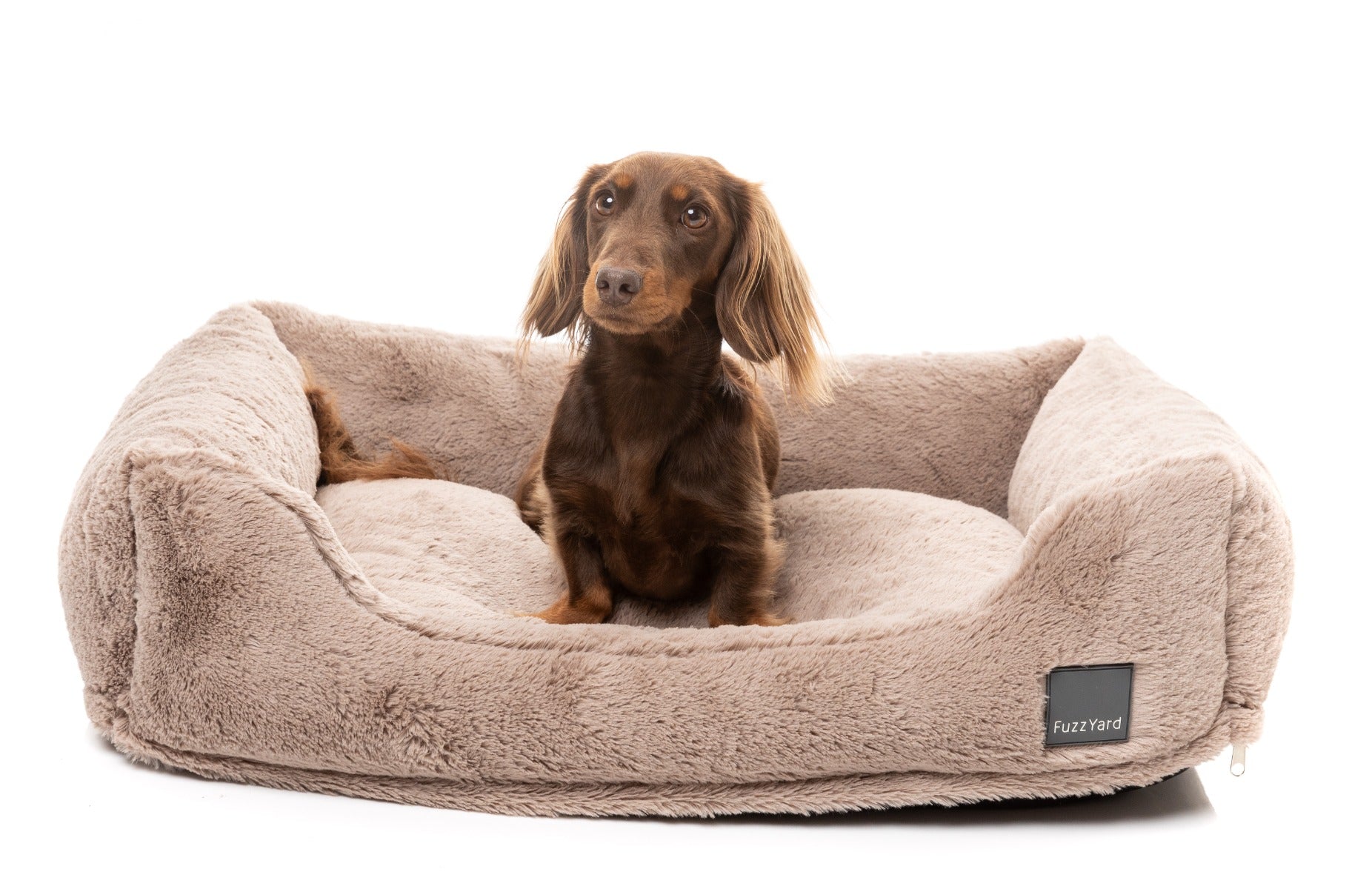 Dreameazzzy Lounger - Chai by FuzzYard