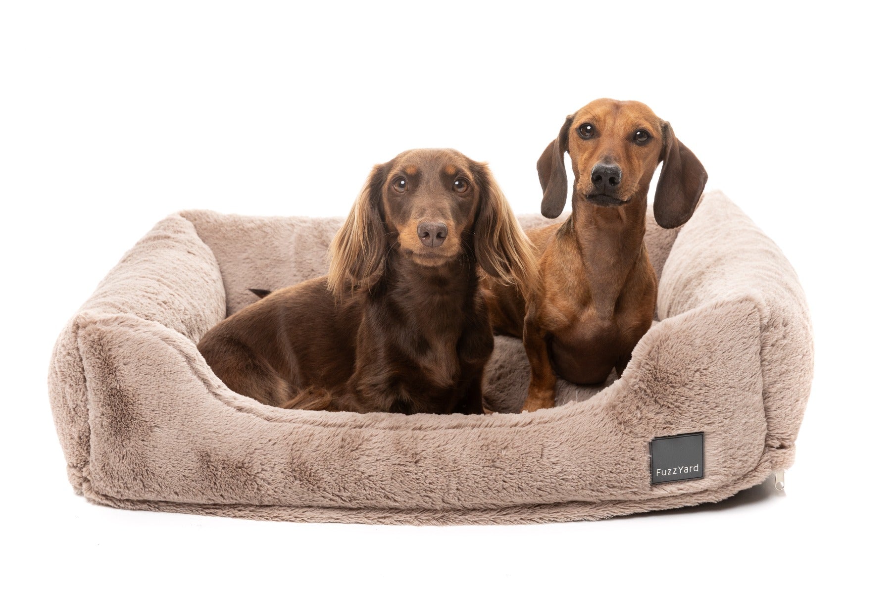 Dreameazzzy Lounger - Chai by FuzzYard