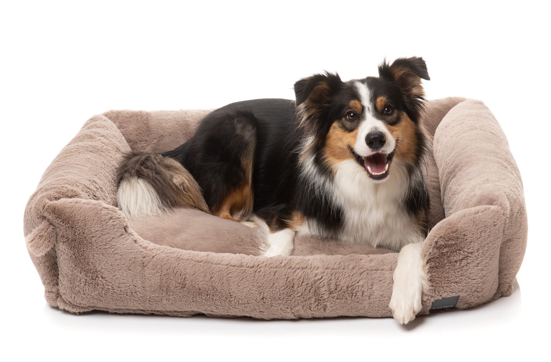 Dreameazzzy Lounger - Chai by FuzzYard