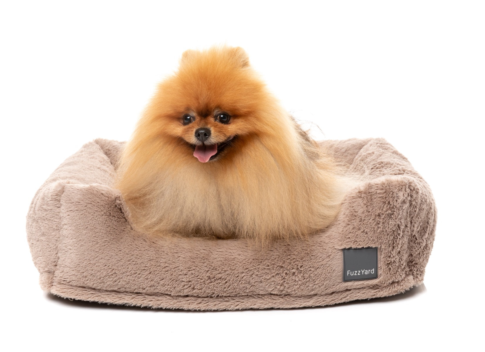 Dreameazzzy Lounger - Chai by FuzzYard