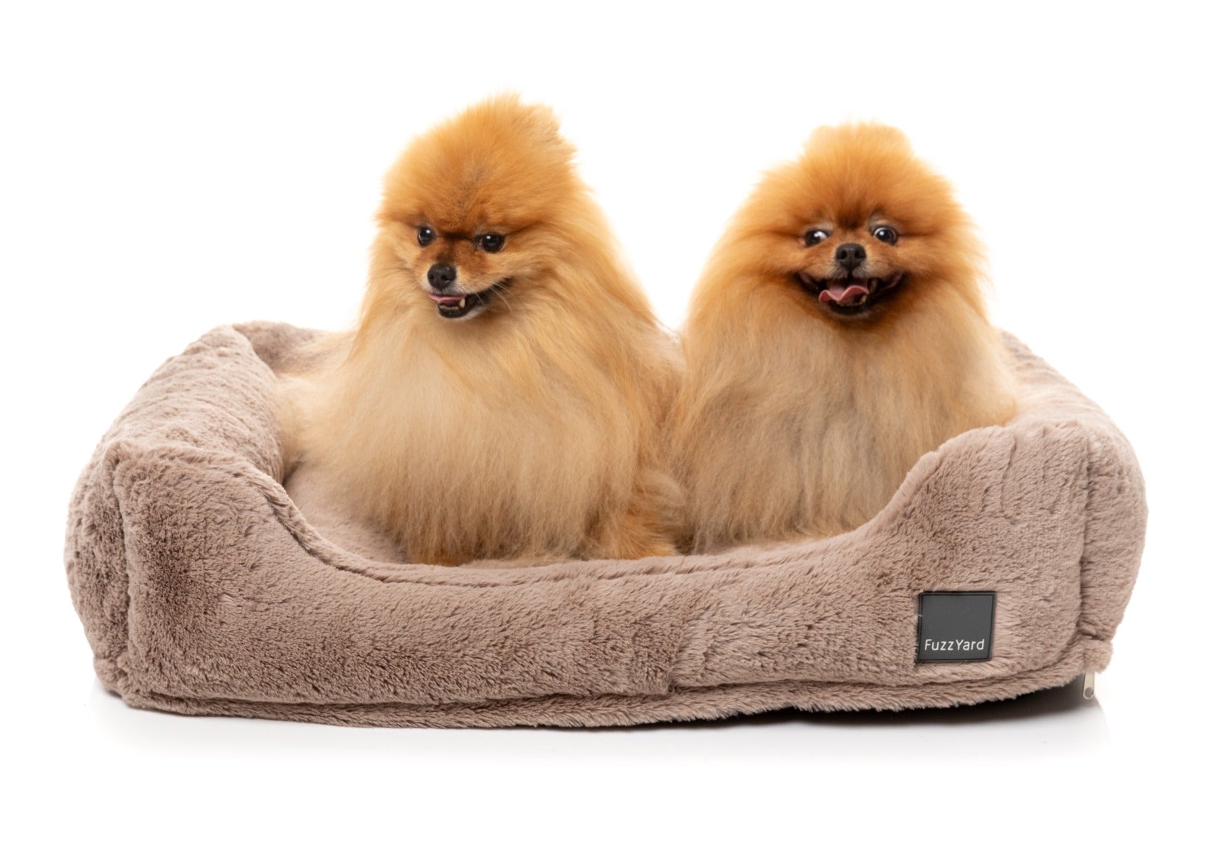 Dreameazzzy Lounger - Chai by FuzzYard