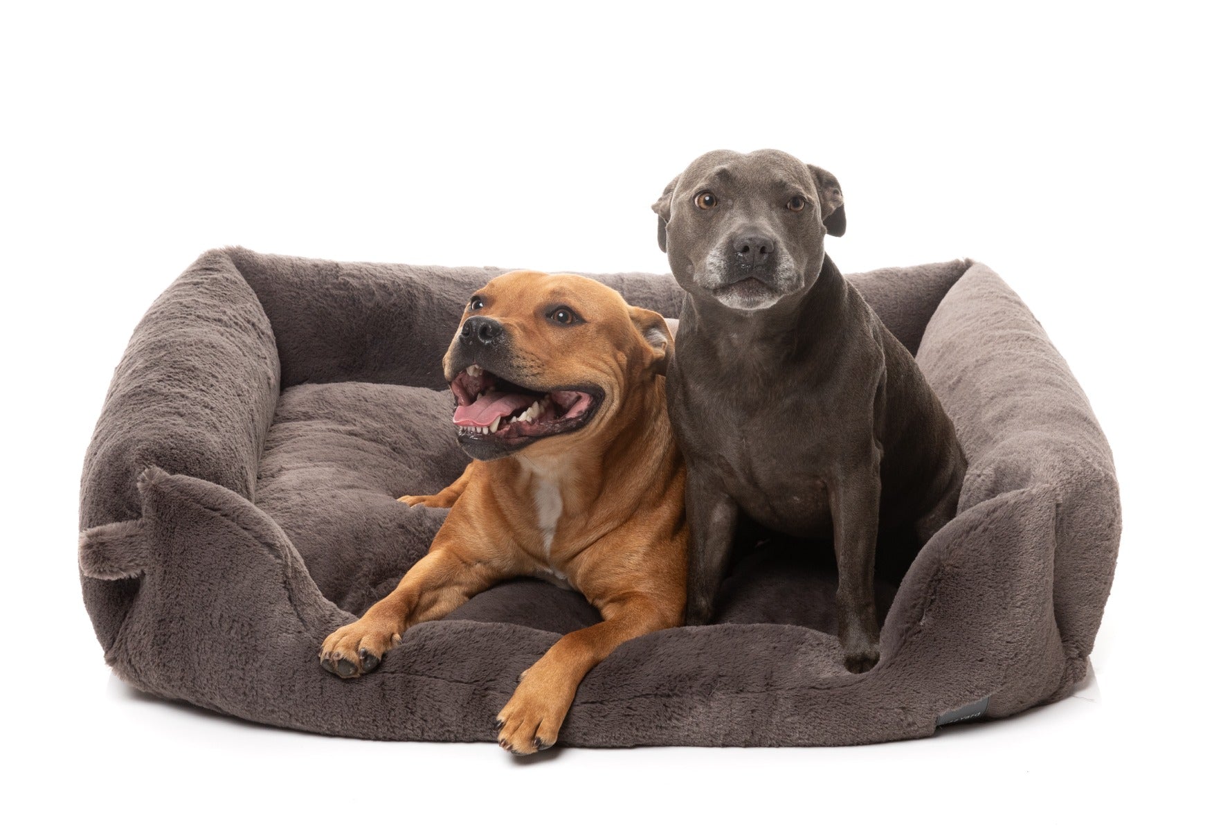 Dreameazzzy Lounger - Truffle by FuzzYard