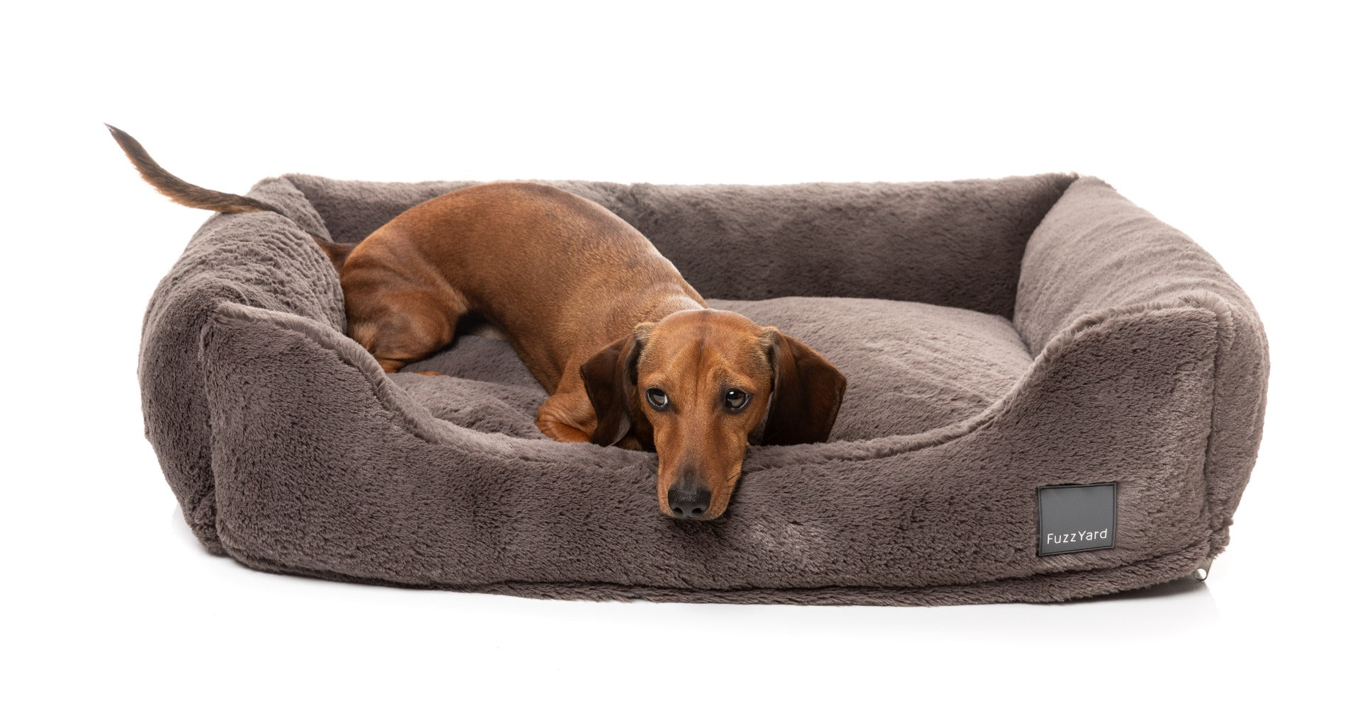 Dreameazzzy Lounger - Truffle by FuzzYard