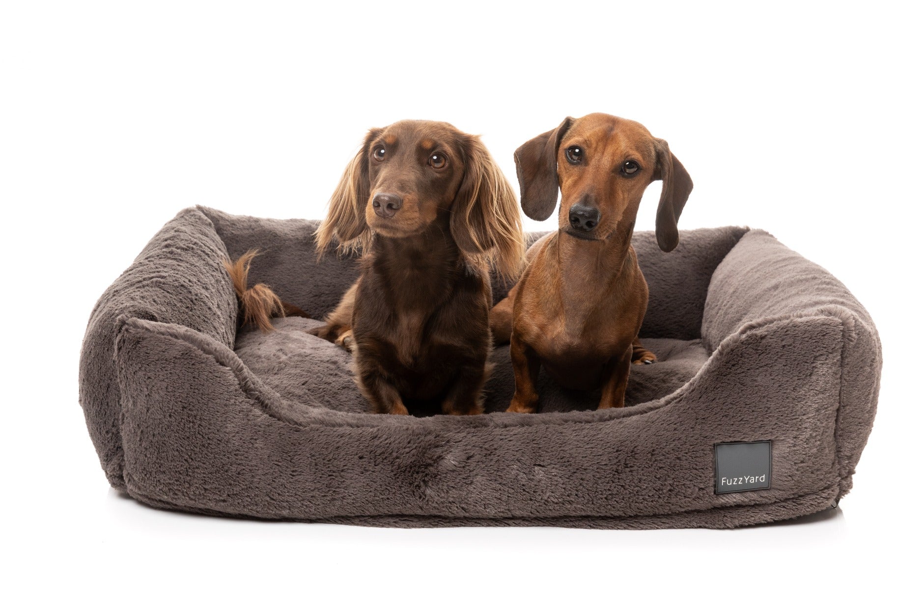 Dreameazzzy Lounger - Truffle by FuzzYard