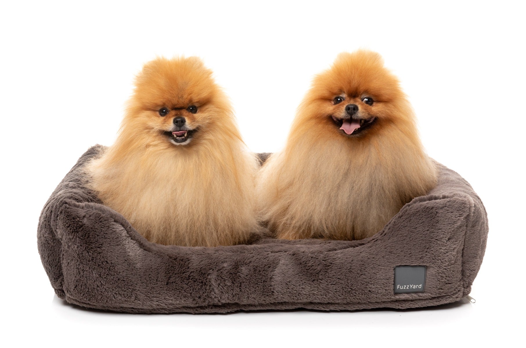 Dreameazzzy Lounger - Truffle by FuzzYard