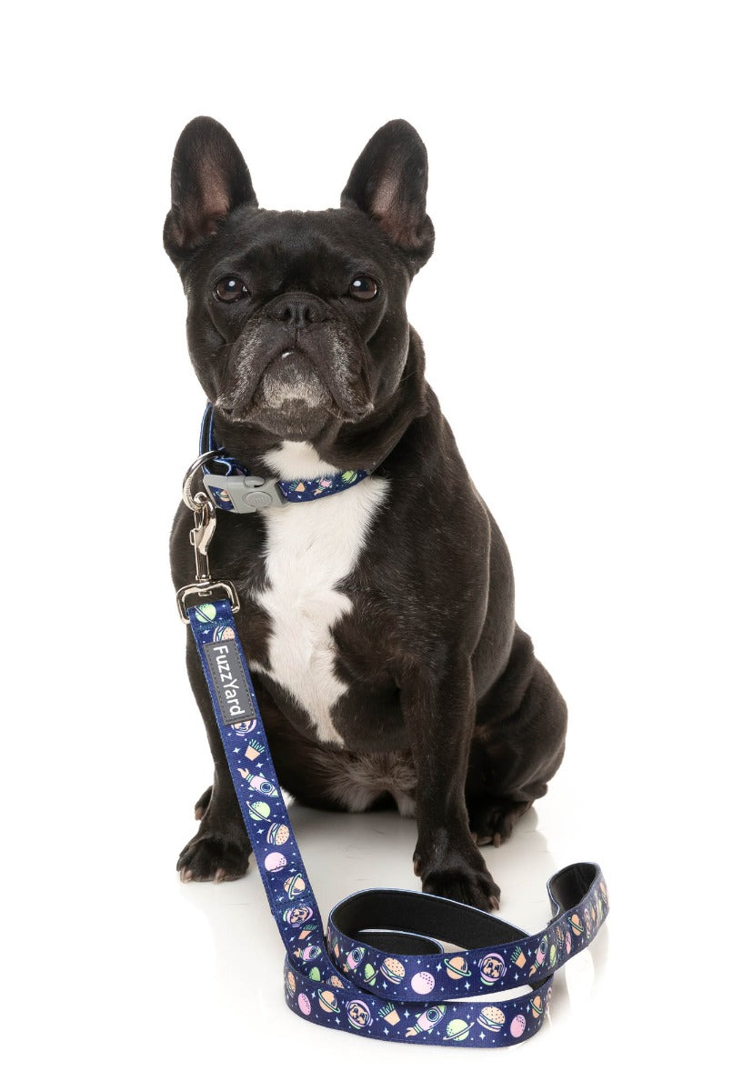 Pluto Pup - Dog Lead by FuzzYard