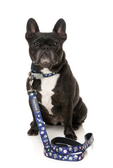 Pluto Pup - Dog Lead by FuzzYard