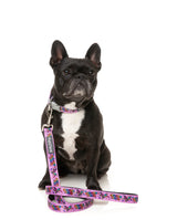 FuzzYard Fiesta - Dog Lead by FuzzYard