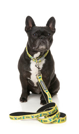 Sk8ter Gator - Dog Lead by FuzzYard