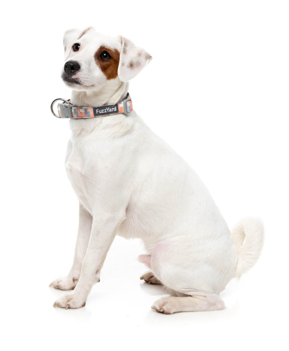 Yazd - Dog Collar by FuzzYard