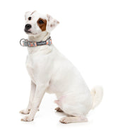 Yazd - Dog Collar by FuzzYard