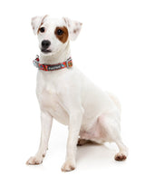 The Homies - Dog Collar by FuzzYard