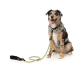 Rope Lead - Khaki by FY Active