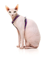 Wild One Bubblegum - Cat Walking Set by FuzzYard