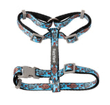 Soy Sauce Fish - Cat Walking Set by FuzzYard