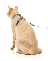 Soy Sauce Fish - Cat Walking Set by FuzzYard