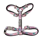 Meowcarons - Cat Walking Set by FuzzYard