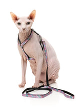 Meowcarons - Cat Walking Set by FuzzYard