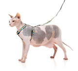 Cheesy Hearts - Cat Walking Set by FuzzYard