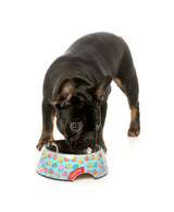 You Drive Me Glazy - Easy Feeder Bowl by FuzzYard