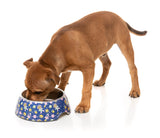 Pluto Pup - Easy Feeder Bowl by FuzzYard