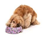 FuzzYard Fiesta - Easy Feeder Bowl by FuzzYard