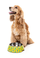 Sk8ter Gator - Easy Feeder Bowl by FuzzYard