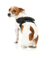 Flash Harness - Blackout by FuzzYard