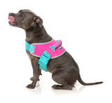 Flash Harness - Bubblegum by FuzzYard