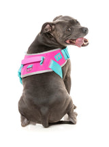 Flash Harness - Bubblegum by FuzzYard