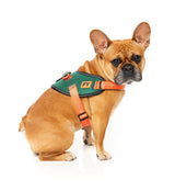 Flash Harness - Commando by FuzzYard