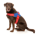 Flash Harness - Patriot by FuzzYard
