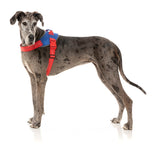 Flash Harness - Patriot by FuzzYard