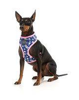 Pluto Pup - Harness by FuzzYard