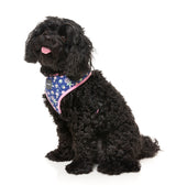 Pluto Pup - Harness by FuzzYard