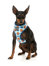 Ahoy There! - Harness by FuzzYard