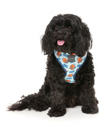 Ahoy There! - Harness by FuzzYard