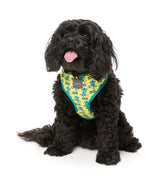 Sk8ter Gator - Harness by FuzzYard