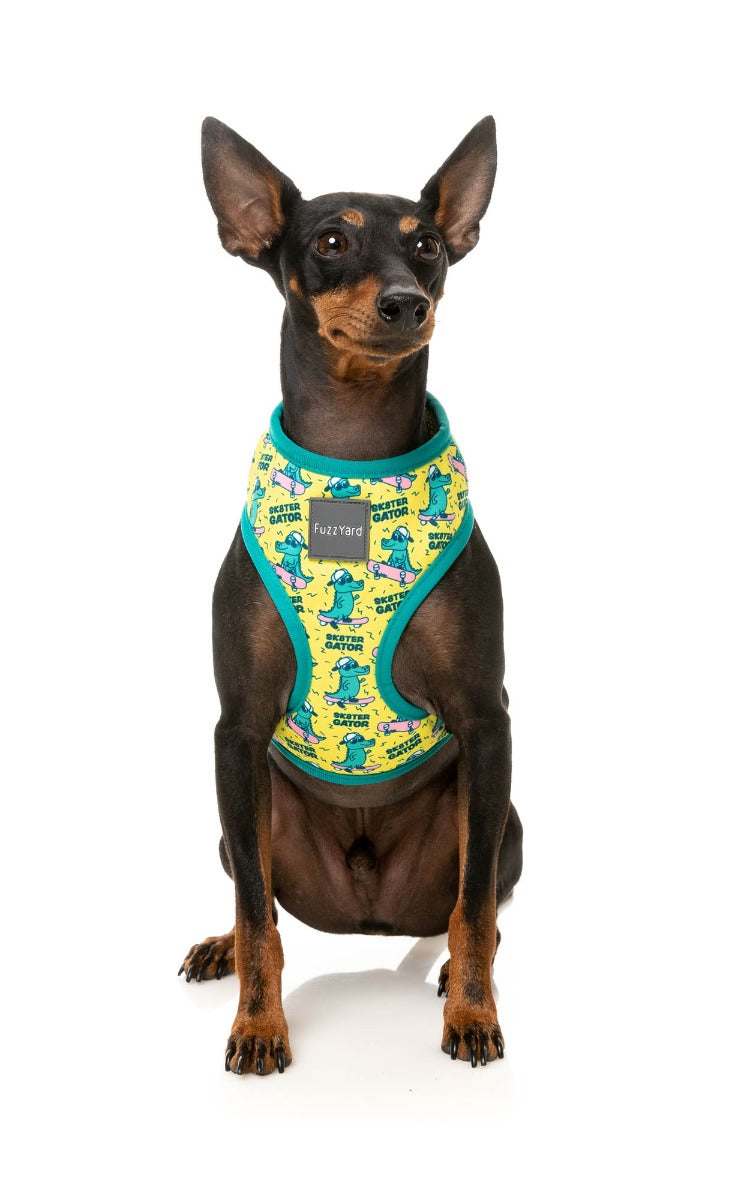 Sk8ter Gator - Harness by FuzzYard