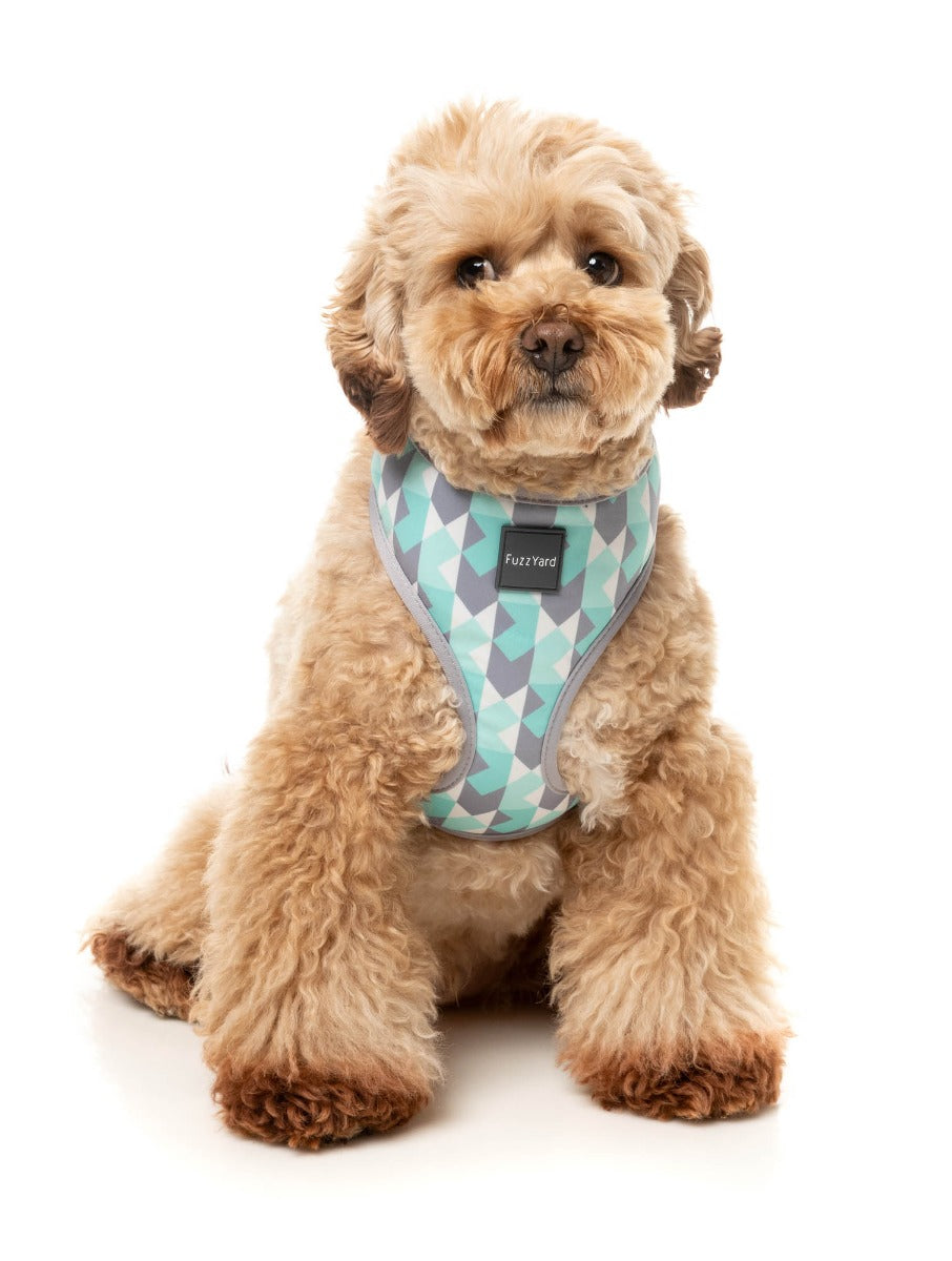 Mint Fizz - Harness by FuzzYard