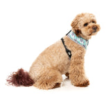 Mint Fizz - Harness by FuzzYard