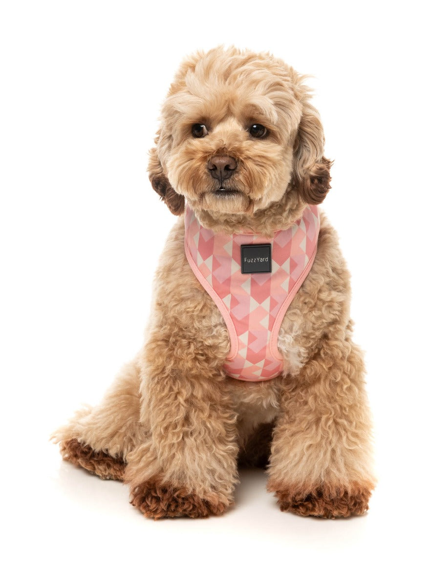 Pink Lemonade - Harness by FuzzYard