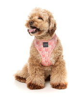 Pink Lemonade - Harness by FuzzYard