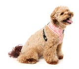 Pink Lemonade - Harness by FuzzYard