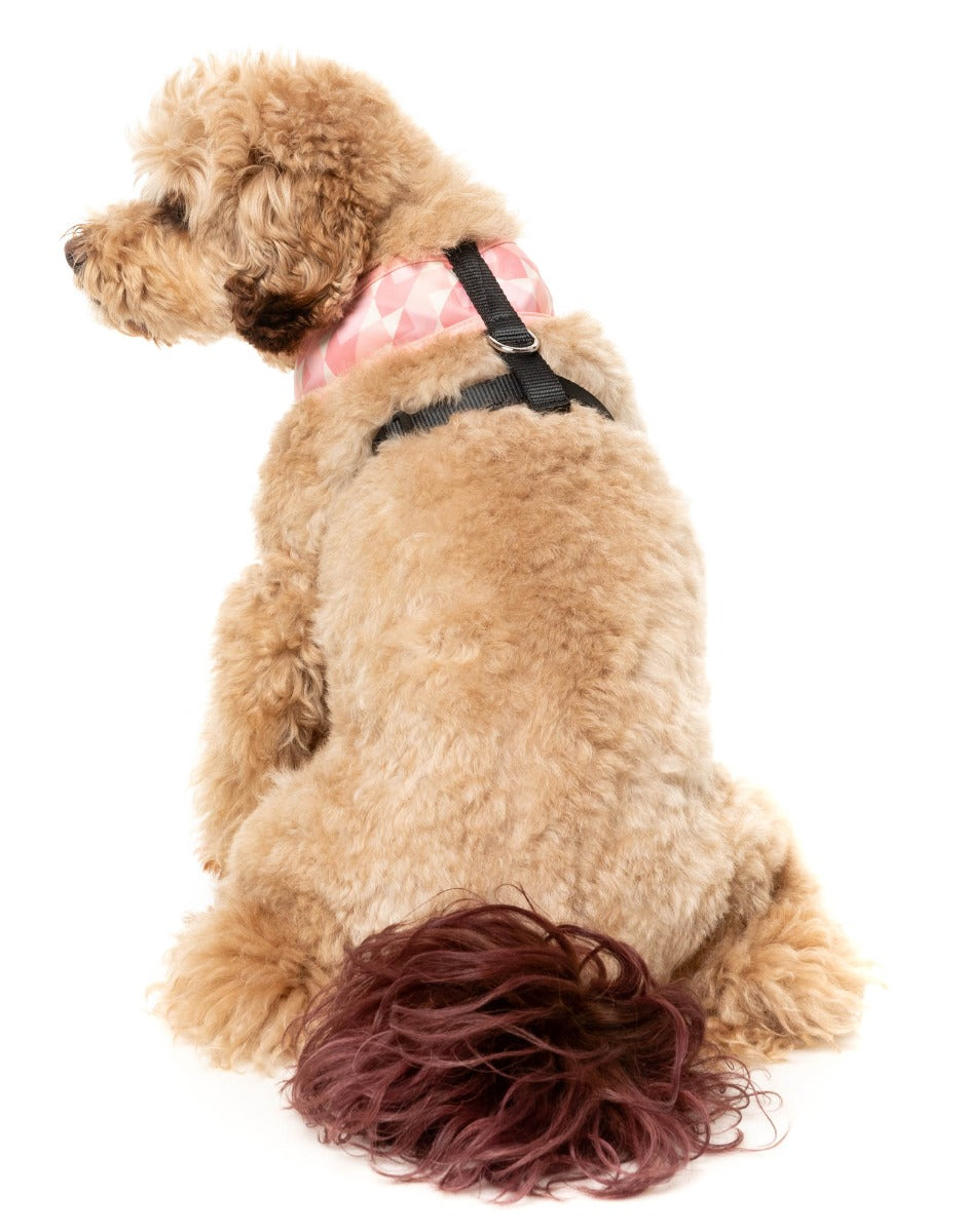 Pink Lemonade - Harness by FuzzYard