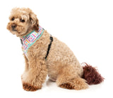 Bubblegum Burst - Harness by FuzzYard