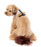 Bubblegum Burst - Harness by FuzzYard