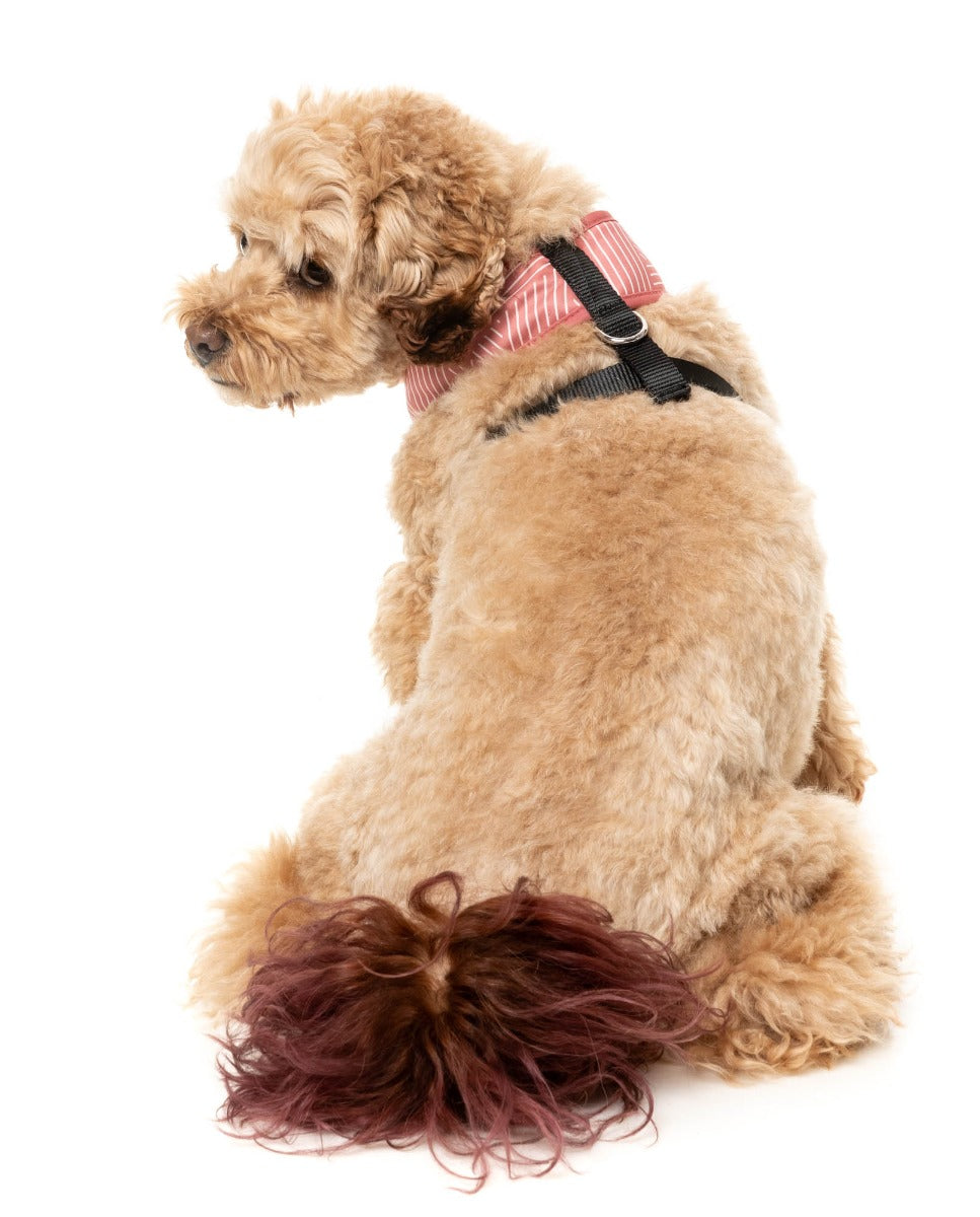 Thornbury - Brick Red - Harness by FuzzYard