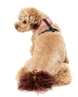 Thornbury - Brick Red - Harness by FuzzYard